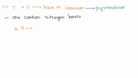 1-what-do-thymine-t-and-cytosine-c-have-in-common-that-makes-them-different-from-adenine-a-and-guanine-g-2-what-do-and-g-have-in-common-that-is-notably-different-from-and-c-what-is-the-name-91347