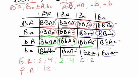 punnett-square-of-a-cross-between-ddaax-ddaa-four-possible-gametes-from-ddaa-genotype-da-da-da-da-da-ddaa-ddaa-ddaa-ddaa-da-ddaa-ddaa-ddaa-ddaa-four-possible-gametes-from-da-ddaa-ddaa-ddaa-d-07509