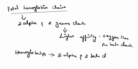 fetal-hemoglobin-has-more-affinity-to-binding-with-oxygen-as-compared-with-adult-hemoglobin-this-is-due-to-the-presence-of-which-of-the-following-hemoglobin-chains-2alpha2gamma-chains-4alpha-65647