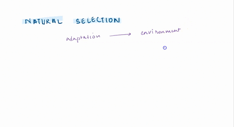 adaptations-that-result-from-natural-selection-are-expected-to-increase-the-fitness-of-an-organism-in-terms-of-natural-selection-which-of-the-following-best-describes-fitness-a-being-able-to-85803