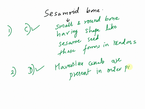 i-need-help-with-these-questions-thank-you-1-which-of-the-following-statements-matches-the-description-of-sesamoid-bones-o-cylindrical-bones-with-shaft-o-bones-with-side-to-side-flat-surface-58999