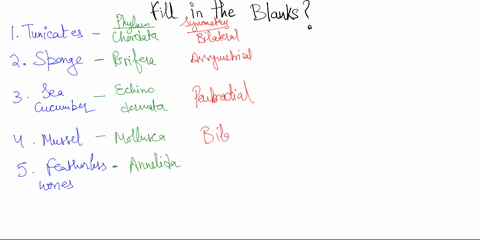 question-3-2-points-totall-fill-in-the-blanks-below-based-on-your-observations-in-lab-this-week-be-specific_in-your-answers-to-receive-full-credit-organism-phylum-symmetry-development-gut-ty-35618