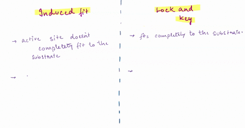compare-and-contrast-lock-and-key-from-induced-fit-theory-in-four-sentences-lock-and-key-theory-induced-fit-theory-76999