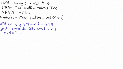 dna-coding-strand-atg-gta-ggg-tat-tag-dna-template-strand-mrna-protein-13315