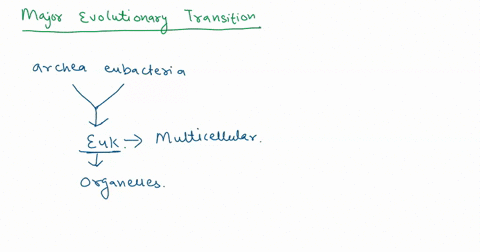 describe-the-concept-of-major-evolutionary-transitions-provide-two-examples-of-major-evolutionary-transitions-in-the-evolution-of-life-on-earth-26992