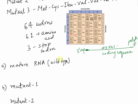 shown-below-are-the-amino-acid-sequences-of-the-wild-type-and-three-mutant-forms-of-protein-use-this-information-to-answer-the-following-questions-wild-tvpe-met-trp-tyr-arg-gly-ser-pro-thr-m-77757