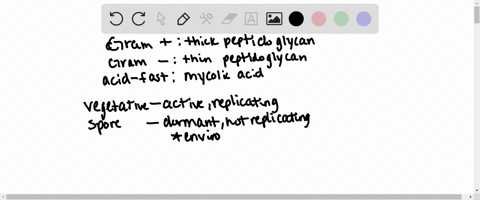 explain-the-classification-of-bacteria-according-to-the-cell-wall-characters-and-give-two-examples-bacterial-species-for-each-cell-wall-character-discuss-the-importance-of-spore-staining-and-40303