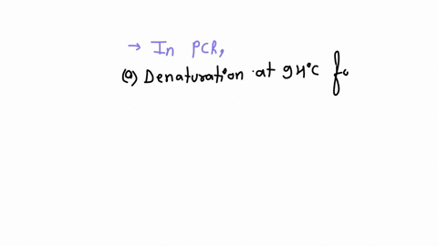 you-carry-out-pcr-using-the-following-steps-denaturation-94c-for-1-minute-annealing-60c-for-30-seconds-extension-72c-for-30-seconds-after-subjecting-your-pcr-reaction-to-gel-electrophoresis-96839