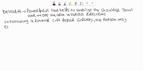 exercises-could-a-physical-therapist-use-to-recondition-the-deltoid-muscle-reattaching-the-deltoid-muscle-at-its-insertion-what-functional-impairment-would-be-present-after-this-procedure-wh-70675