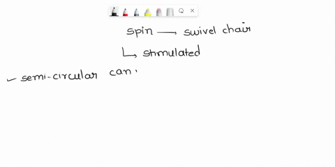 when-you-spin-while-sitting-in-a-swivel-chair-with-your-eyes-closed-you-can-sense-this-movement-because-the-______-is-are-stimulated-a-saccule-b-semicircular-ducts-c-cochlea-d-spiral-organ-e-25076