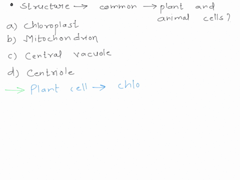 which-structure-is-common-to-plant-and-animal-cells-a-chloroplast-c-mitochondrion-b-central-vacuol-2-56949