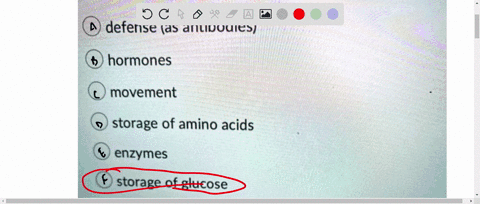 j4co-all-of-the-following-are-functions-of-proteins-except-defense-as-antibodies-hormones-movement-storage-of-amino-acids-enzymes-storage-of-glucose-structure-56191