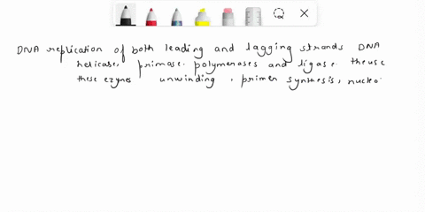 compare-dna-replication-on-the-leading-and-lagging-strands-including-both-similarities-and-differences-which-enzymes-are-involved-07875