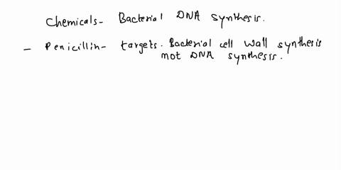 what-are-the-names-of-some-chemicals-that-target-bacterial-dna-synthesis-mark-all-that-apply-penicillin-bacitracin-ciprofloxacin-polymyxins-40122