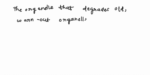 what-organelle-degrades-old-worn-out-organelles-and-cell-components-rough-endoplasmic-reticulumrer-peroxisome-olysosome-ogolgi-apparatus-98028