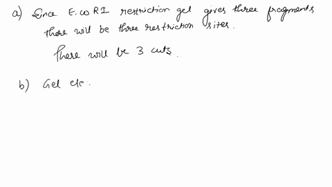 1a-particular-dna-plasmid-is-circular-molecule-of-8000-base-pairs-in-one-test-tube-we-incubate-the-plasmid-with-the-restriction-enzyme-ecori-in-another-test-tube-we-incubate-the-plasmid-with-91553