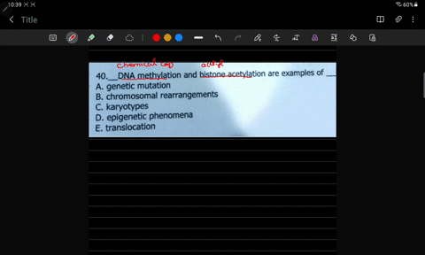 40_-dna-methylation-and-histone-acetylation-are-examples-of-a-genetic-mutation-b-chromosomal-rearrangements-c-karyotypes-d-epigenetic-phenomena-e-translocation-41784