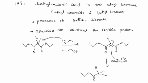 this-barbiturate-can-be-synthesized-in-three-steps-from-diethyl-malonate-1-2-diethyl-malonate-reacts-successively-with-two-alkyl-bromides-in-na-oet-3-the-dialkylated-intermediate-is-treated-71015
