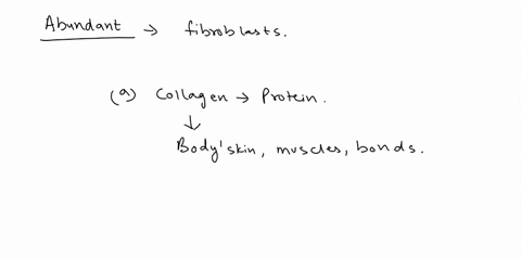 the-most-abundant-protein-in-the-human-body-is-_____-made-by-fibroblasts-a-collagen-b-keratin-c-mela-51192