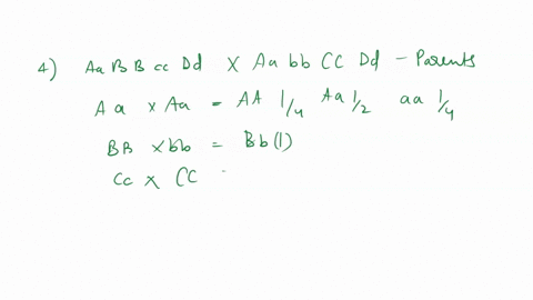 consider-this-mating-between-genotypes-aabbccdd-and-aabbccdd-where-a-b-c-and-d-are-loci-that-assort-independently-and-the-uppercase-and-lower-case-letter-indicate-the-dominant-allele-and-rec-70672