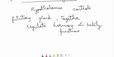 give-examples-of-interactions-between-the-endocrine-system-and-other-body-systems-presented-so-far-05135