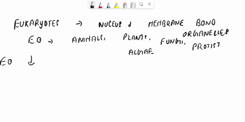1-which-of-the-following-is-a-eukaryotic-cell-a-bacteria-b-virus-c-animalplant-cell-d-all-of-the-above-73193