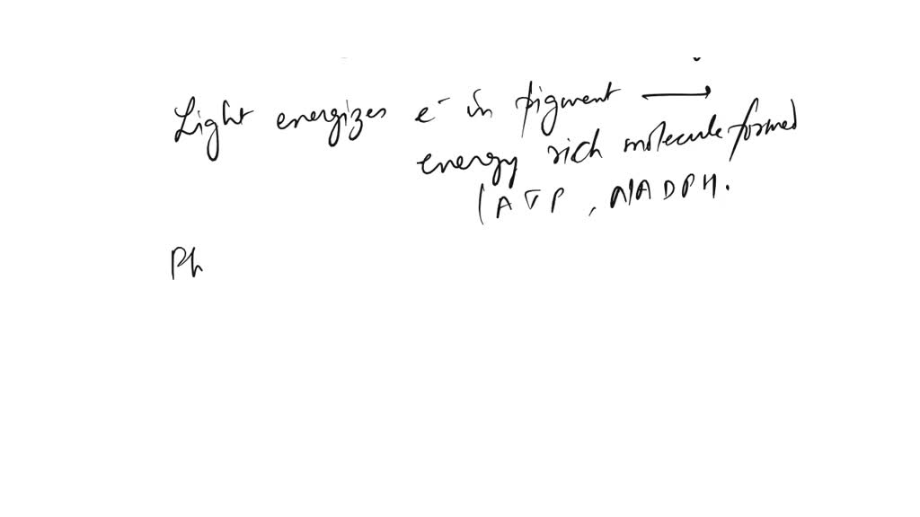 solved-how-does-light-energy-get-converted-into-chemical-energy-what