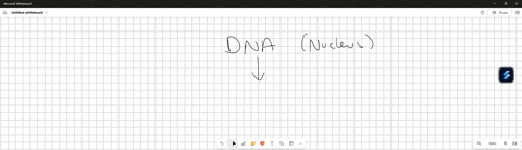 using-a-labelled-diagram-discuss-the-stages-and-principles-of-the-central-dogma-of-molecular-biology