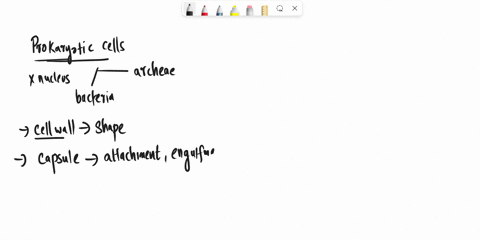 explain-how-each-of-the-following-characteristics-contributes-to-the-success-of-prokaryotes-cell-wal-85996