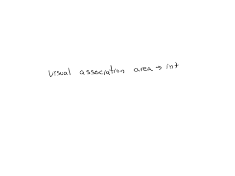 6-you-are-a-neurologist-and-are-seeing-a-patient-who-was-in-a-car-accident-and-may-have-sustained-brain-damage-the-patient-is-having-trouble-decoding-visual-information-what-part-of-the-brain-may-have