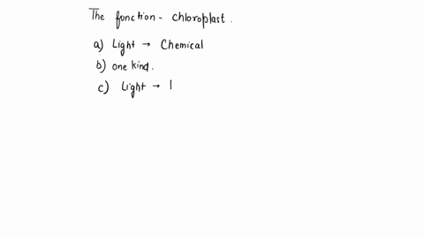 the-function-of-the-chloroplast-is-to-_____-a-convert-light-energy-to-chemical-energy-b-convert-one-kind-of-chemical-energy-to-another-c-convert-light-energy-to-heat-d-move-the-cell-e-digest-38489