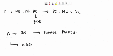 compare-the-structures-and-function-of-the-polysaccharides-amylose-and-cellulose-what-is-the-biological-significance-of-their-different-chemistries-draw-and-label-a-phospholipid-what-propert-19005