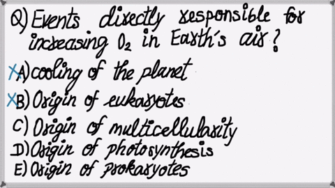 which-of-the-following-events-was-most-directly-responsible-for-increasing-oxygen-in-earths-atmosphe-94627