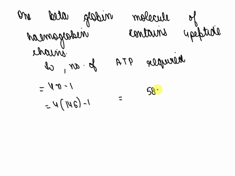 determine-the-minimum-energy-cost-in-terms-of-atp-equivalents-expended-for-the-biosynthesis-of-the-b-94328