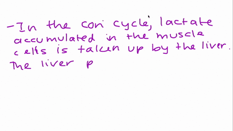 why-is-gluconeogenesis-important-in-cori-cycle-81104