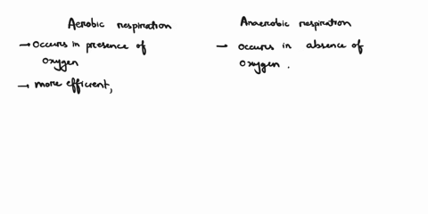 what-are-the-difference-between-aerobic-and-anaerobic-mode-of-respiration2-50033