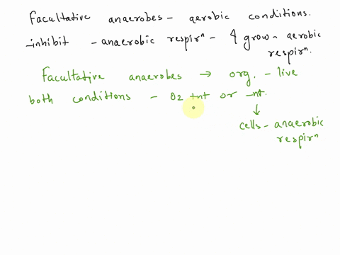 when-placed-in-oxygen-cells-that-can-grow-both-aerobically-and-anaerobically-facultative-anaerobes-inhibit-anaerobic-respiration-and-the-cell-grows-aerobically-with-this-happening-what-is-a-48023