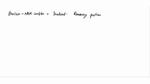 match-the-descriptions-with-the-terms-listed-below-protein-rrna-complex-that-is-involved-in-removing-portions-of-mrna-during-rna-processing-in-eukaryotes-this-must-bind-first-to-the-dna-befo-01938