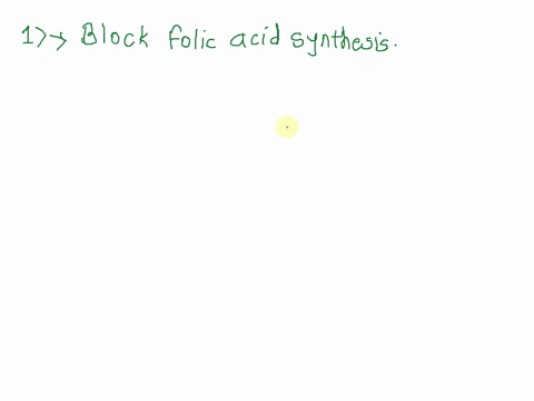 qulion4-what-cellular-structure-or-function-do-sulfonamides-targetz-interfere-with-stability-of-rna-block-folic-acid-synthesis-disrupt-protein-synthesis-damage-cell-membranes-destroy-the-int-09687