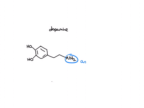 dopamine-is-a-neurotransmitter-occurring-in-a-wide-variety-of-animals-including-both-vertebrates-and-invertebrates-what-are-the-functional-groups-present-ho_-ho-dopamine-ether-aromatic-carbo-22778