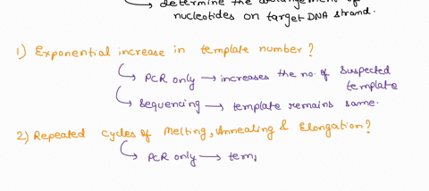 sanger-sequencing-nly-both-pcr-only-exponentially-increasing-number-of-template-molecules-repeated-cycles-of-melting-annealing-elongation-t7-t3-primers-in-one-reaction-tube-dntps-templates-a-00926
