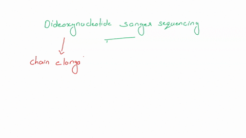 all-them-all-please-question-7-2-points-listenreadspeaker-webreader-listen-reproductive-unite-of-sponges-that-is-a-mass-of-archaeocytes-surrounded-by-spicules-and-mesoglea-question-7-options-05335