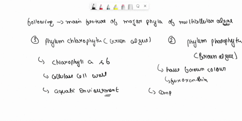 describe-the-main-features-of-the-major-phyla-of-multicellular-algae-35776