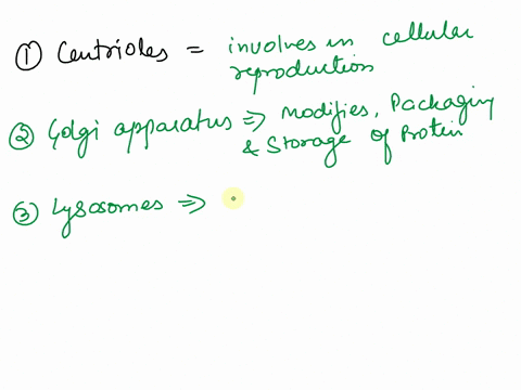 4label-the-following-on-the-image-belowcentriolescytoplasmgolgi-apparatus-mitochondria-nucleus-nucleolus-plasma-membrane-ribosomes-rough-er-smooth-er-17-5-matchingmatch-the-following-terms-w-77204