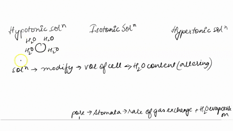 task-3-now-we-re-here-leaves-predict-how-will-your-lonicity-affect-he-stomala-of-your-lear-ieolorc-solullon-hyporinic-bolton-hypotcnia-sokullon-describe-the-main-function-of-guard-cellsstoma-93893