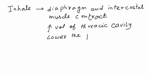 part-a-how-pressure-gradients-drive-pulmonary-ventilation-during-pulmonary-ventilationair-moves-from-choose-the-best-answer-view-available-hints-o-lower-to-higher-volume-o-lower-to-higher-pr-29212