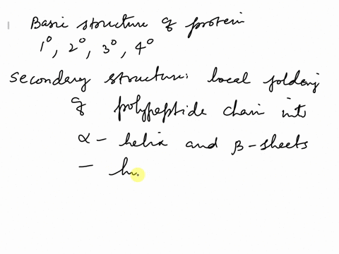 describe-the-basic-structure-of-proteins-primary-secondary-tertiary-quaternary-including-what-types-of-chemical-bonds-are-important-at-each-level-21961