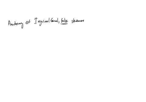 all-are-true-regarding-anatomy-of-the-inguinal-canal-except-a-the-superficial-ring-is-a-triangular-defect-in-the-aponeurosis-of-the-internal-oblique-muscle-b-hioinguinal-nerve-is-passed-through-canal-