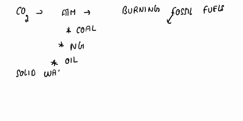which-of-the-following-is-a-source-of-carbon-dioxide-in-the-atmosphere-plants-animals-sunlight-factories-22299