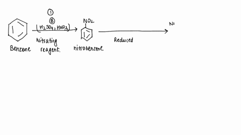 question-16-match-the-reagents-needed-for-each-step-noz-nhz-n2-a-nacn-b-h2so4-hno3-chbf4-d-hz-pd-on-carbon-e-naoh-h2o-heat-naono-hci-gkf-hhci-hono-hcl-15535